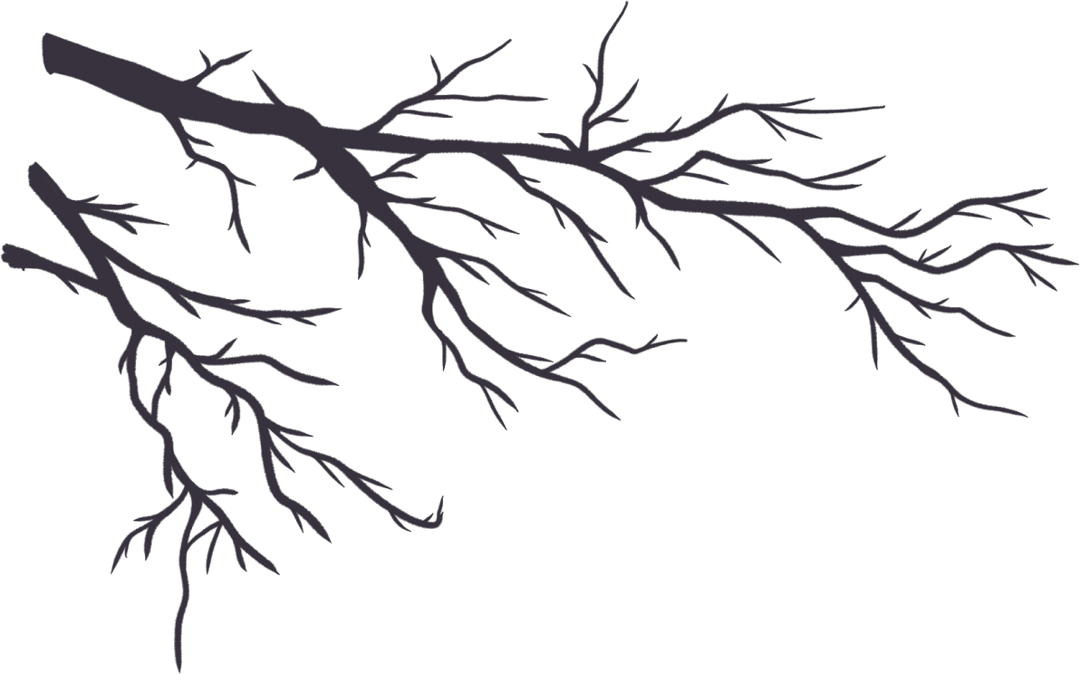 tree branches